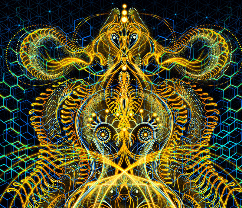 Brahma - Image 3