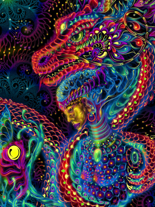 Dragonita de Nature - Image 2
