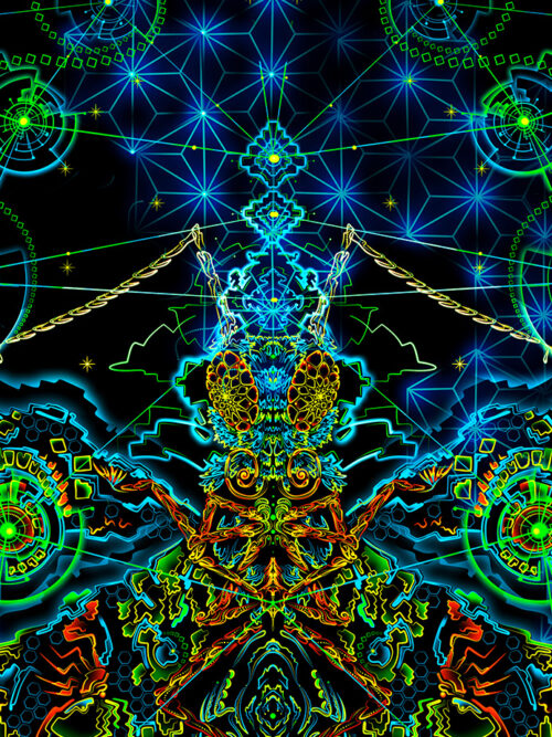 Galactic Butterfly - Image 5