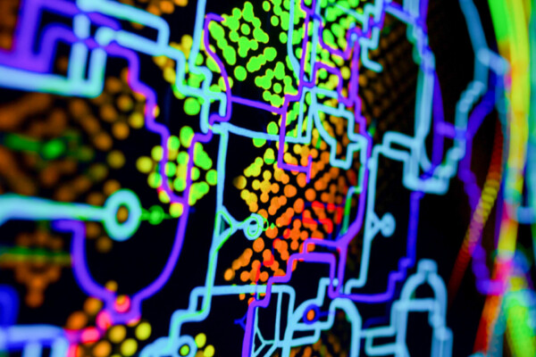 Shamanic Inspirations