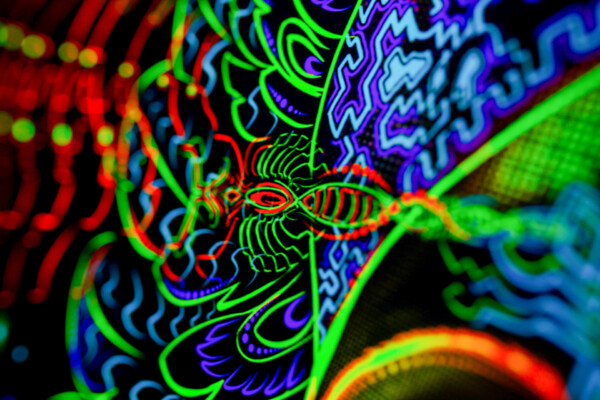 Shamanic Inspirations