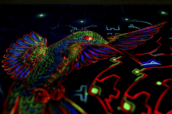 Shamanic Inspirations