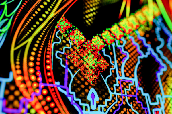 Shamanic Inspirations