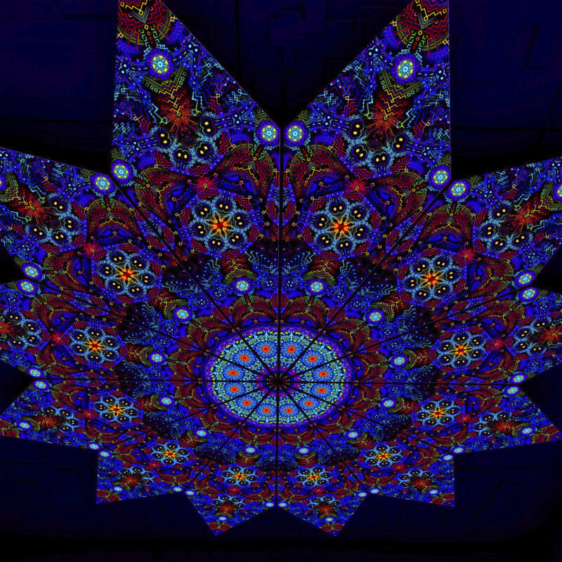 Katedra – Fractal2 – Psychedelic UV-Reactive Canopy – 12 petals set - Image 2