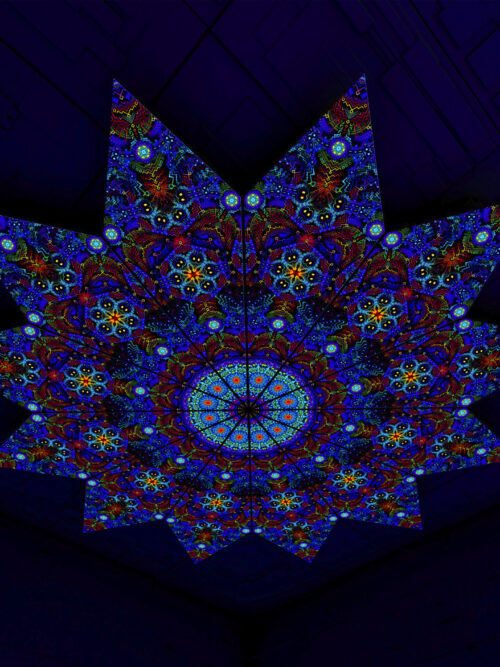 Katedra – Fractal2 – Psychedelic UV-Reactive Canopy – 12 petals set - Image 1