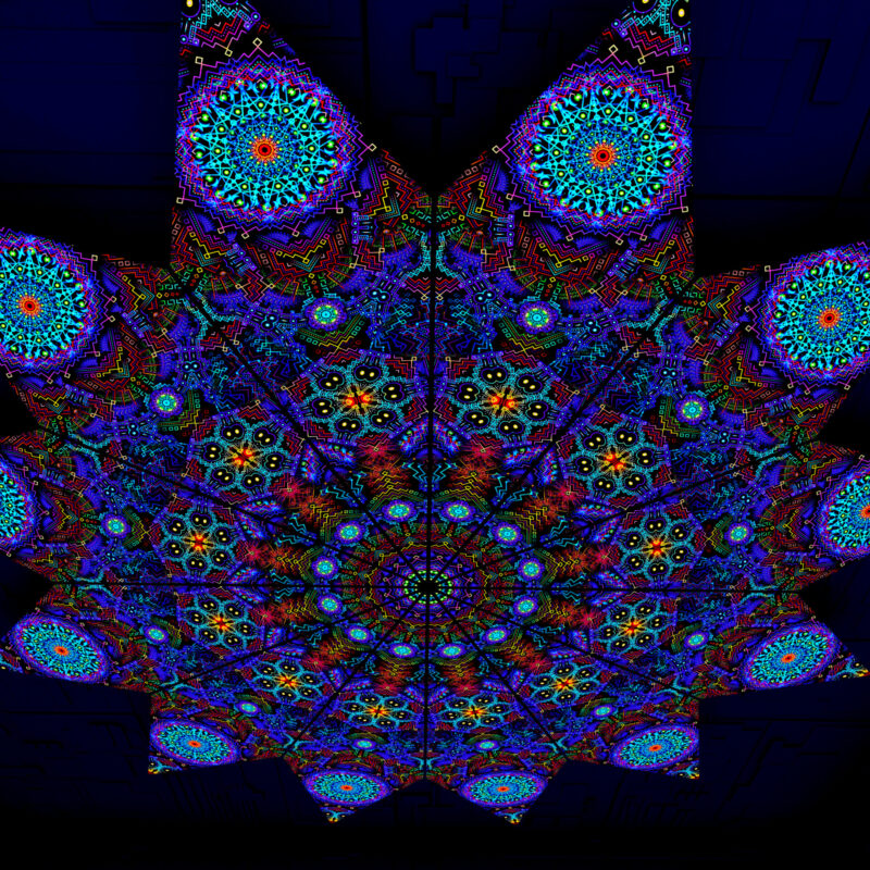Katedra – Fractal1 – Psychedelic UV-Reactive Canopy – 12 petals set - Image 3