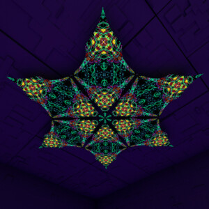 Reincarnation – Hexagram – DM03 – UV-Canopy – Psychedelic Party Decoration