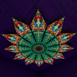 Reincarnation – Fractal3 – Psychedelic UV-Reactive Canopy – 12 petals set