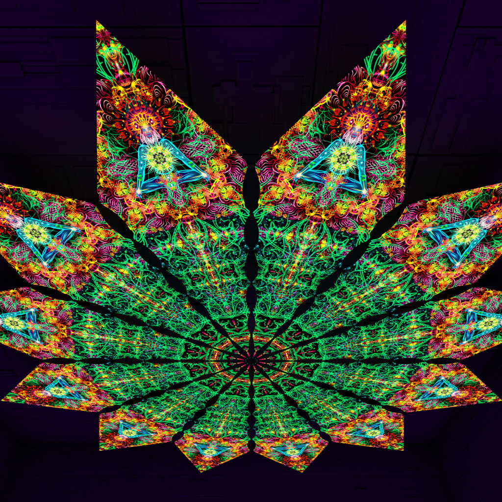 Reincarnation – Fractal3 – Psychedelic UV-Reactive Canopy – 12 petals set