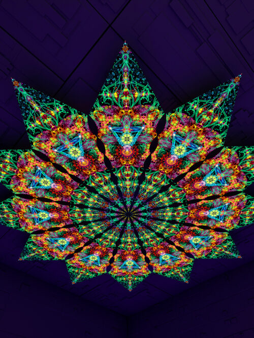Reincarnation – Fractal4 – Psychedelic UV-Reactive Canopy – 12 petals set - Image 1