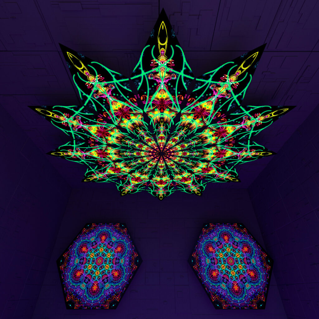 Reincarnation – Fractal5 – Psychedelic UV-Reactive Canopy – 12 petals set