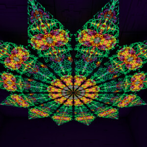 Reincarnation – Fractal1 – Psychedelic UV-Reactive Canopy – 12 petals set