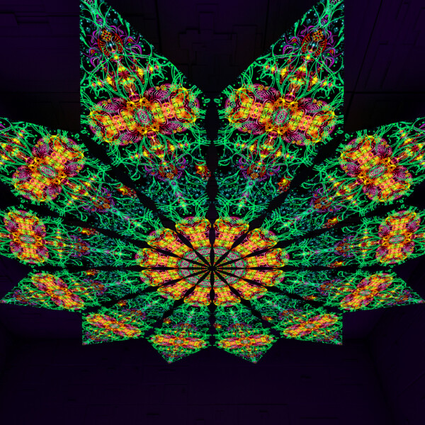 Reincarnation – Fractal1 – Psychedelic UV-Reactive Canopy – 12 petals set