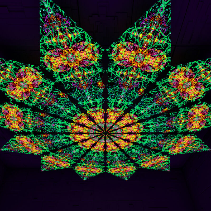 Reincarnation – Fractal1 – Psychedelic UV-Reactive Canopy – 12 petals set - Image 2