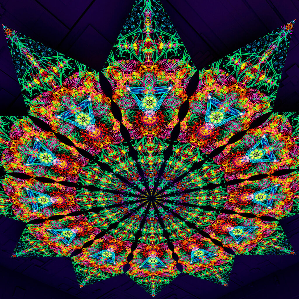 Reincarnation – Fractal4 – Psychedelic UV-Reactive Canopy – 12 petals set