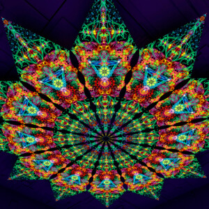 Reincarnation – Fractal4 – Psychedelic UV-Reactive Canopy – 12 petals set