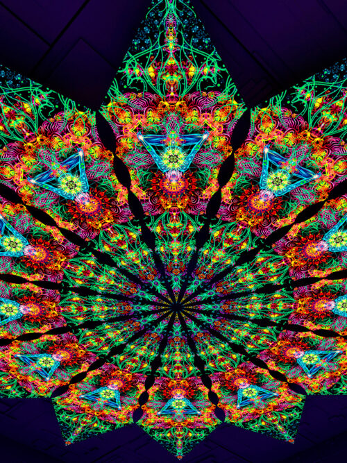 Reincarnation – Fractal4 – Psychedelic UV-Reactive Canopy – 12 petals set - Image 2