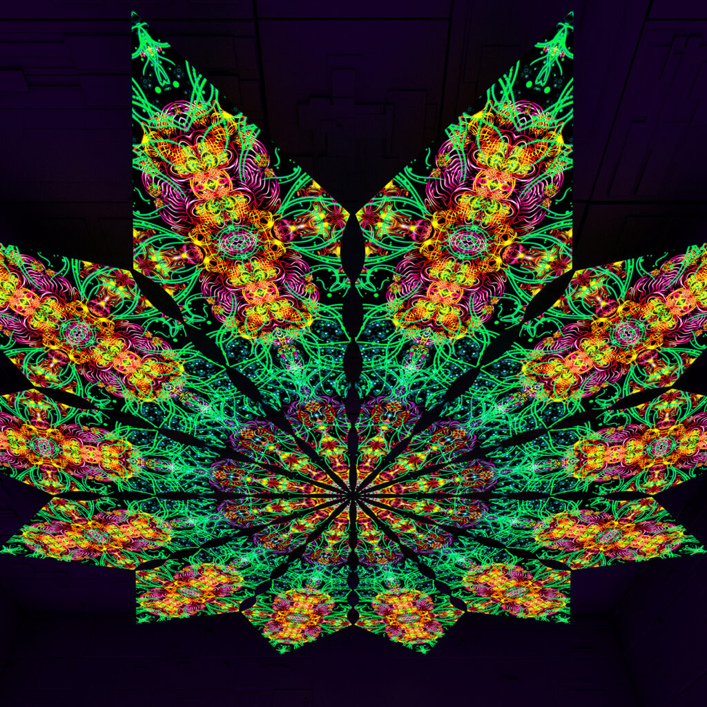 Reincarnation – Fractal2 – Psychedelic UV-Reactive Canopy – 12 petals set