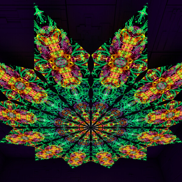 Reincarnation – Fractal2 – Psychedelic UV-Reactive Canopy – 12 petals set