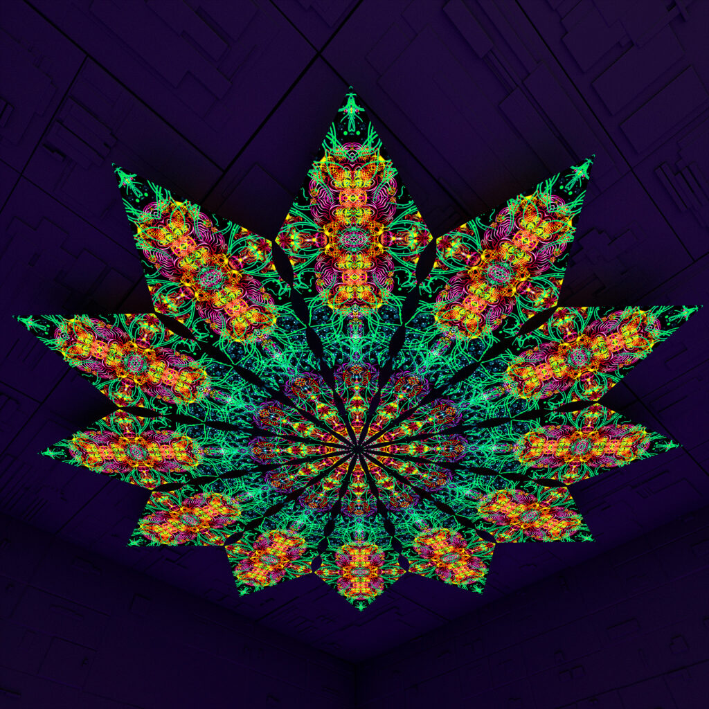 Reincarnation – Fractal2 – Psychedelic UV-Reactive Canopy – 12 petals set
