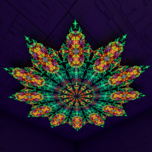 Reincarnation – Fractal2 – Psychedelic UV-Reactive Canopy – 12 petals set