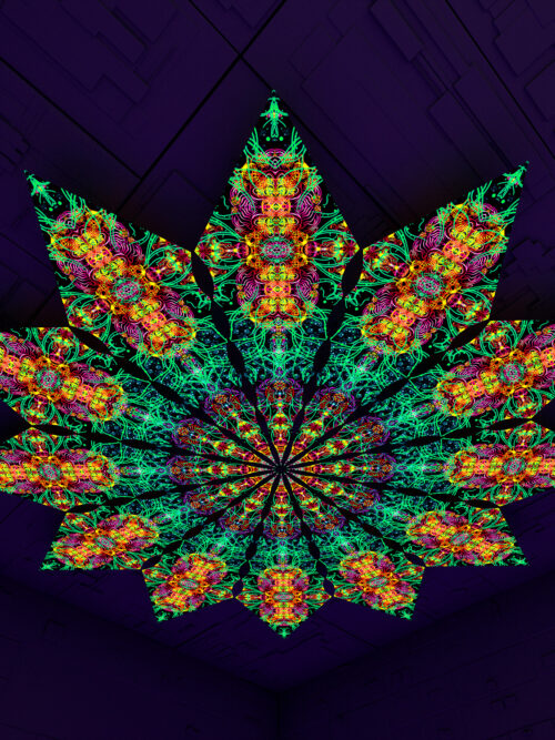 Reincarnation – Fractal2 – Psychedelic UV-Reactive Canopy – 12 petals set - Image 1