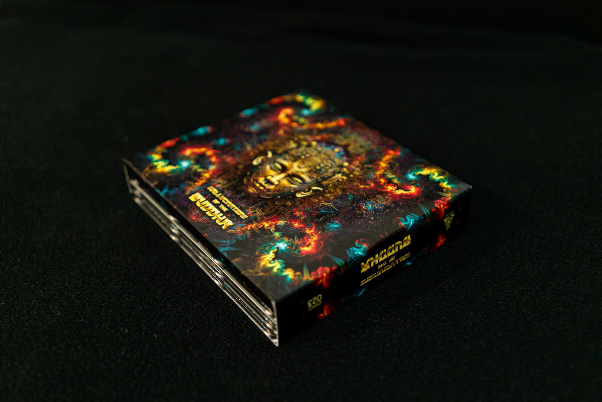 Hallucinations of the Buddha 6CD (the biggest CD compilation in Goa Trance history)