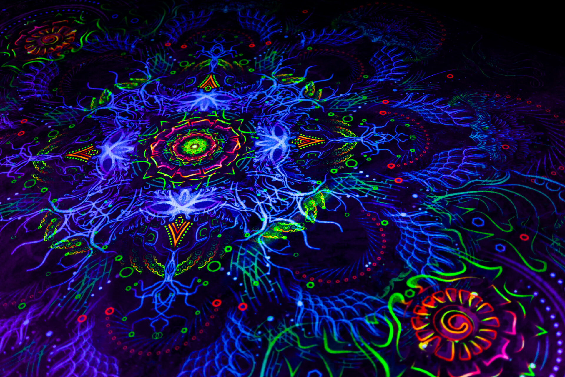 Blanket Forest Fractal - Image 4