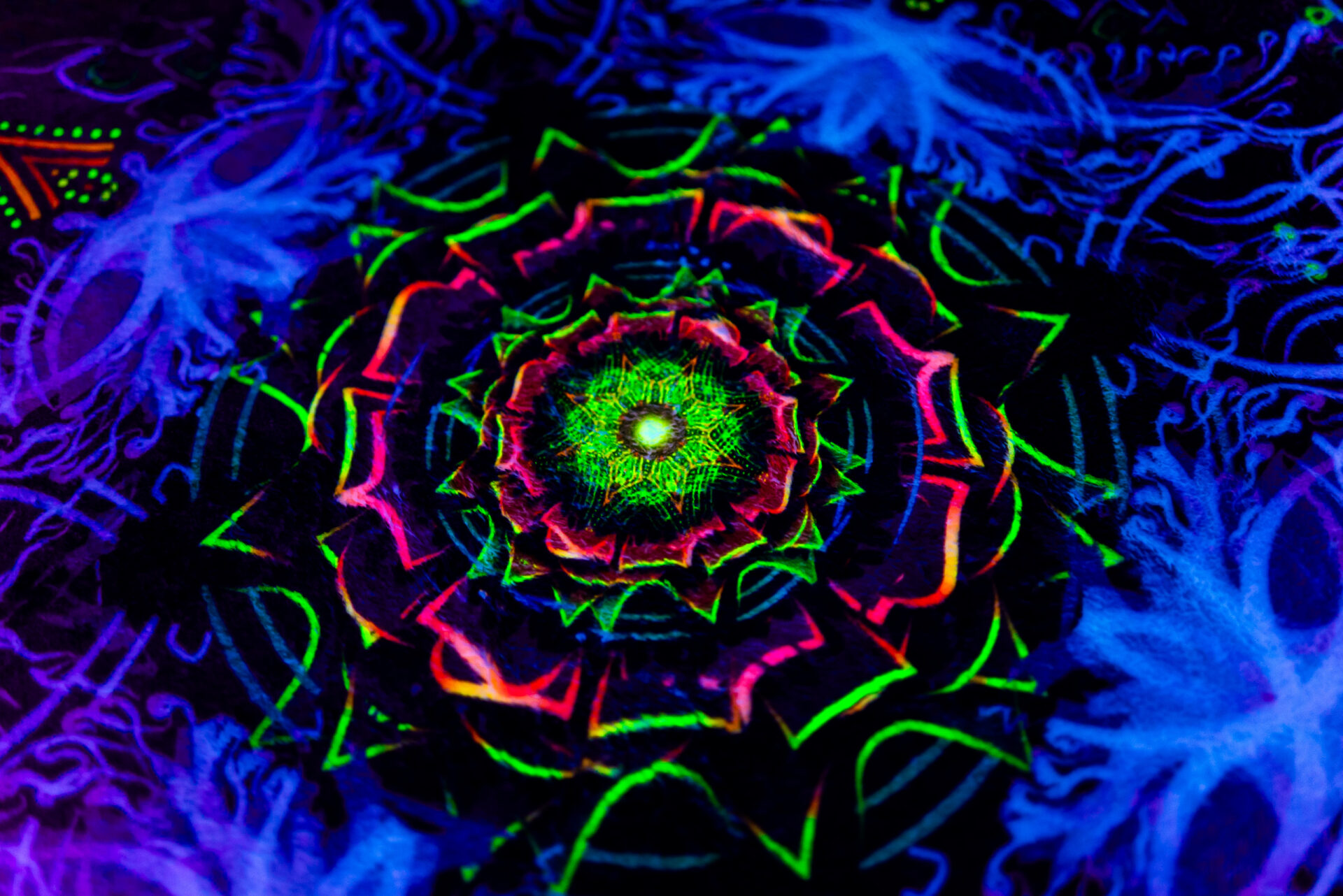 Blanket Forest Fractal - Image 5